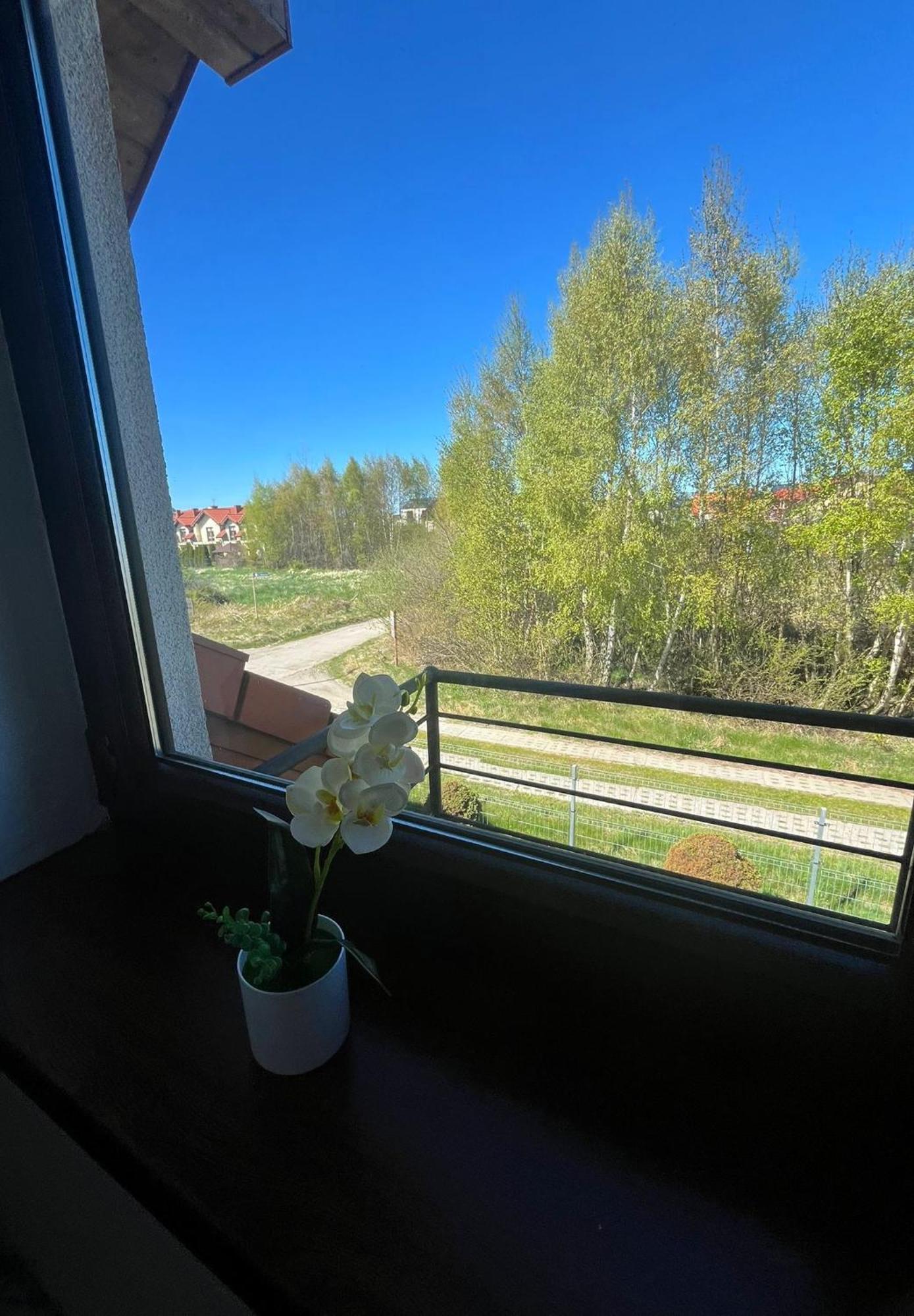Apartamenty Adrenja Rowy  Exteriör bild